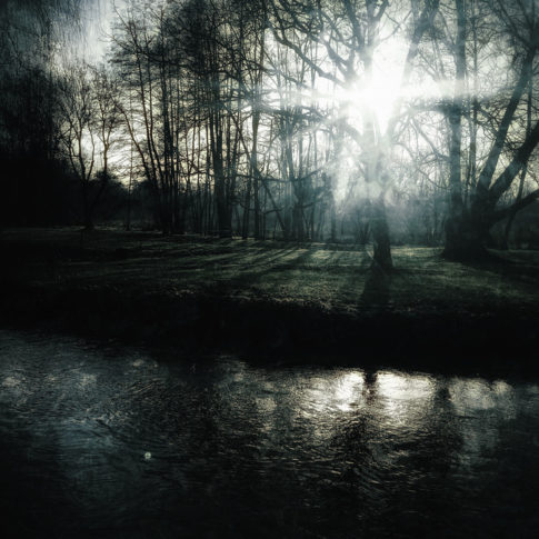 photo artistique nature cours d'eau et forêt sombre