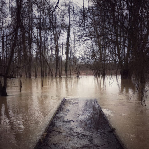 photo artistique nature pont rivière inondé