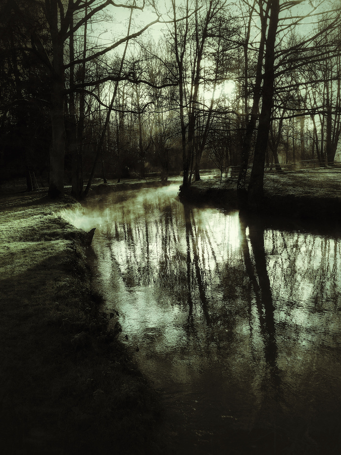 photo artistique nature rivière brouillard vert