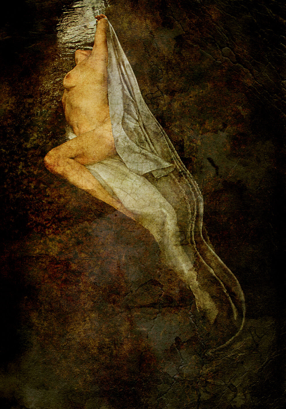 Anima