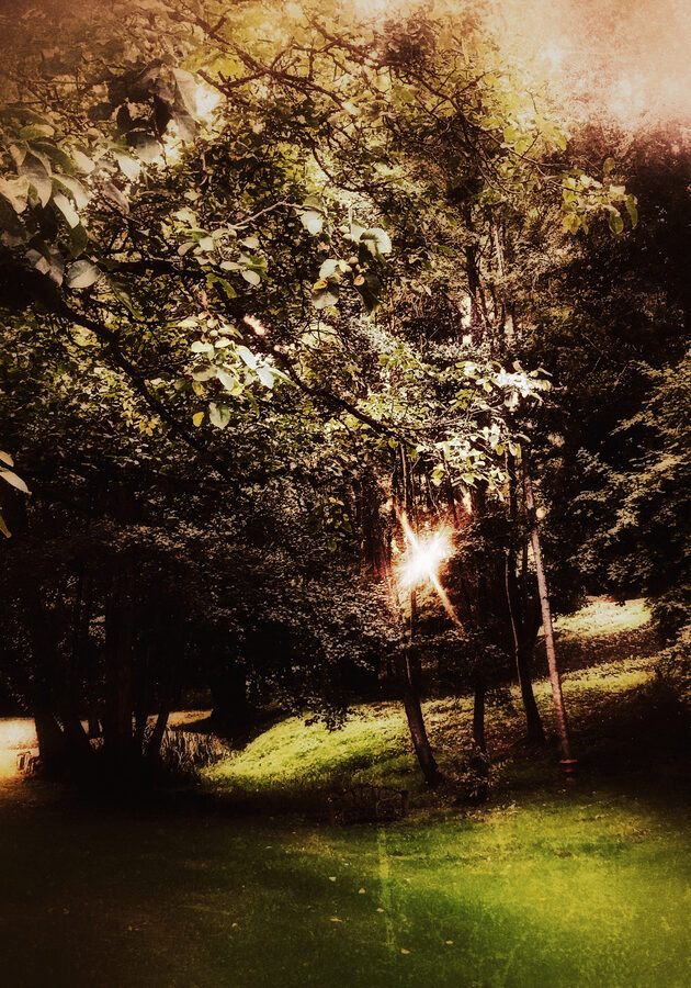 IMG_0213small